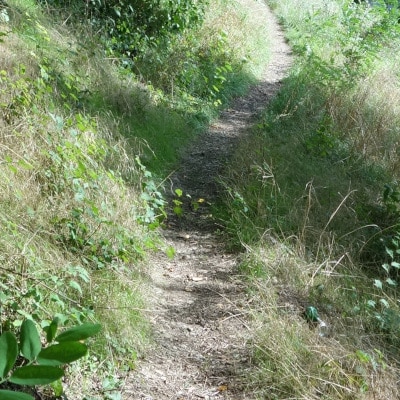Chemin tracé par le passage des piétons à travers un talus